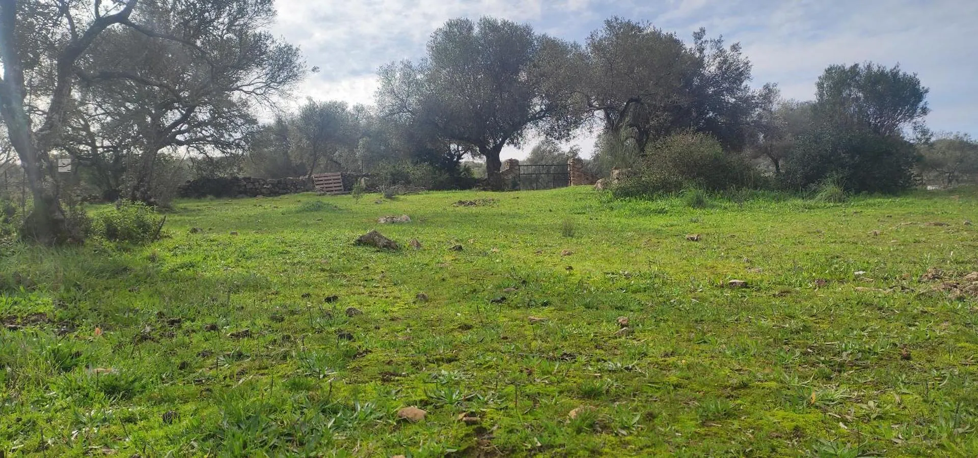 Vivienda Rural Aroche Parralejo Chico Villa Spain