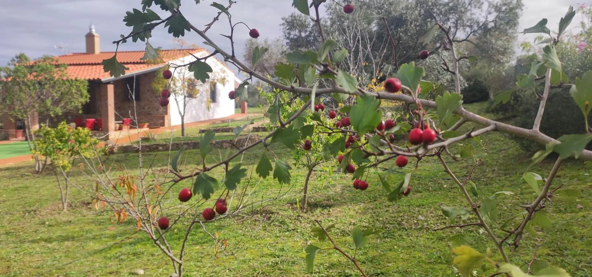 Vivienda Rural Aroche Parralejo Chico Villa
